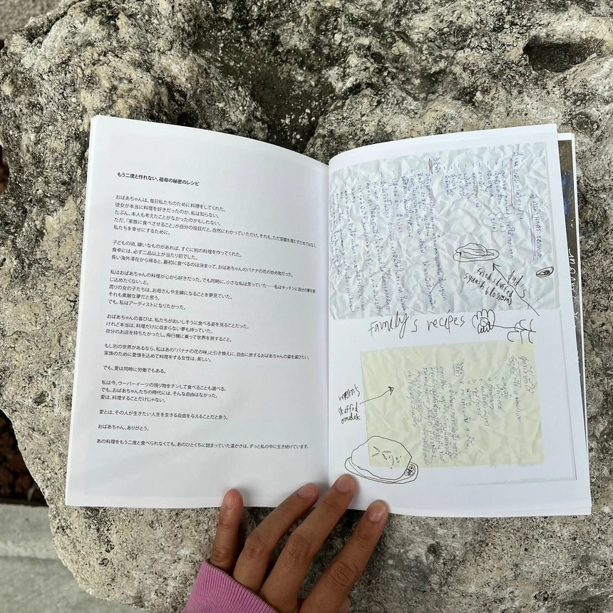 i dont cook, cookbook (art zine)